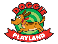 Doggie Playland, Etobicoke's Premiere Dog Daycare Centre