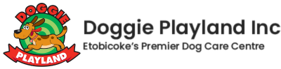 Doggie Playland, Etobicoke's Premiere Dog Daycare Centre