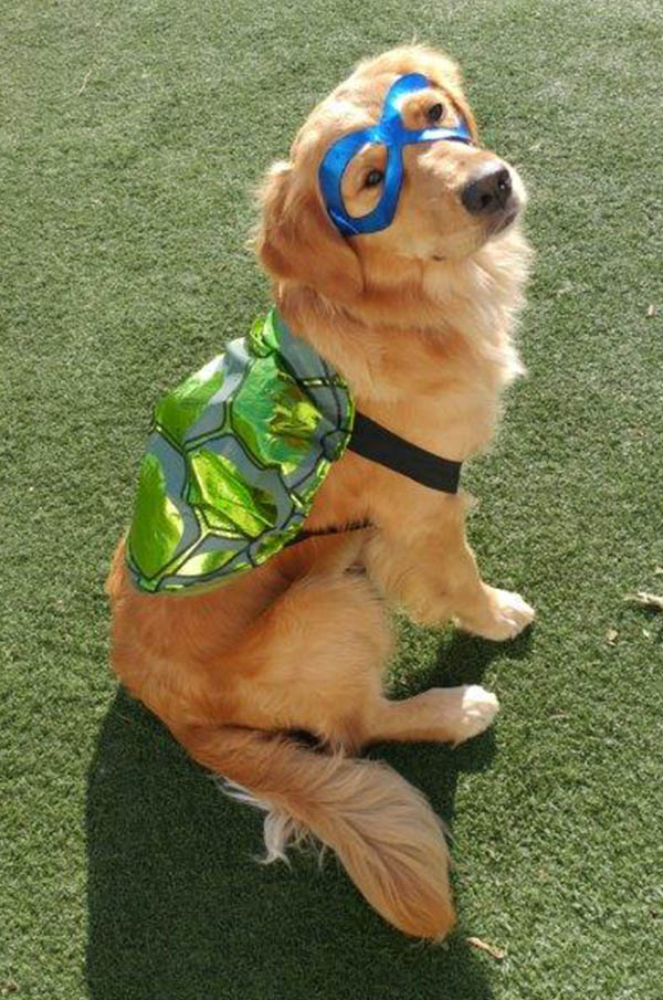 halloween time with friends at Doggie Playland